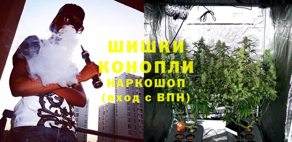 трава Беломорск
