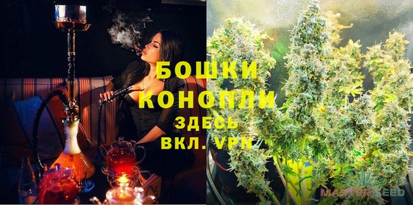 mdpv Белокуриха