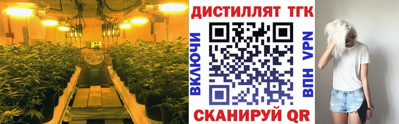 цены   Шали  Дистиллят ТГК вейп с тгк 