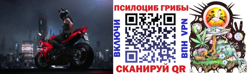 мориарти Telegram  Шали  Галлюциногенные грибы мицелий  omg как войти 